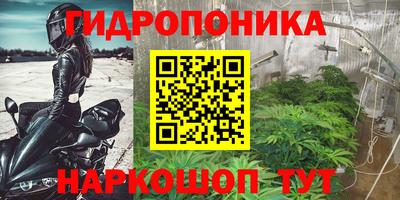 гашишное масло Аргун
